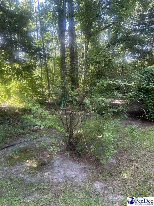 2752 N Highway 301 Photo 12