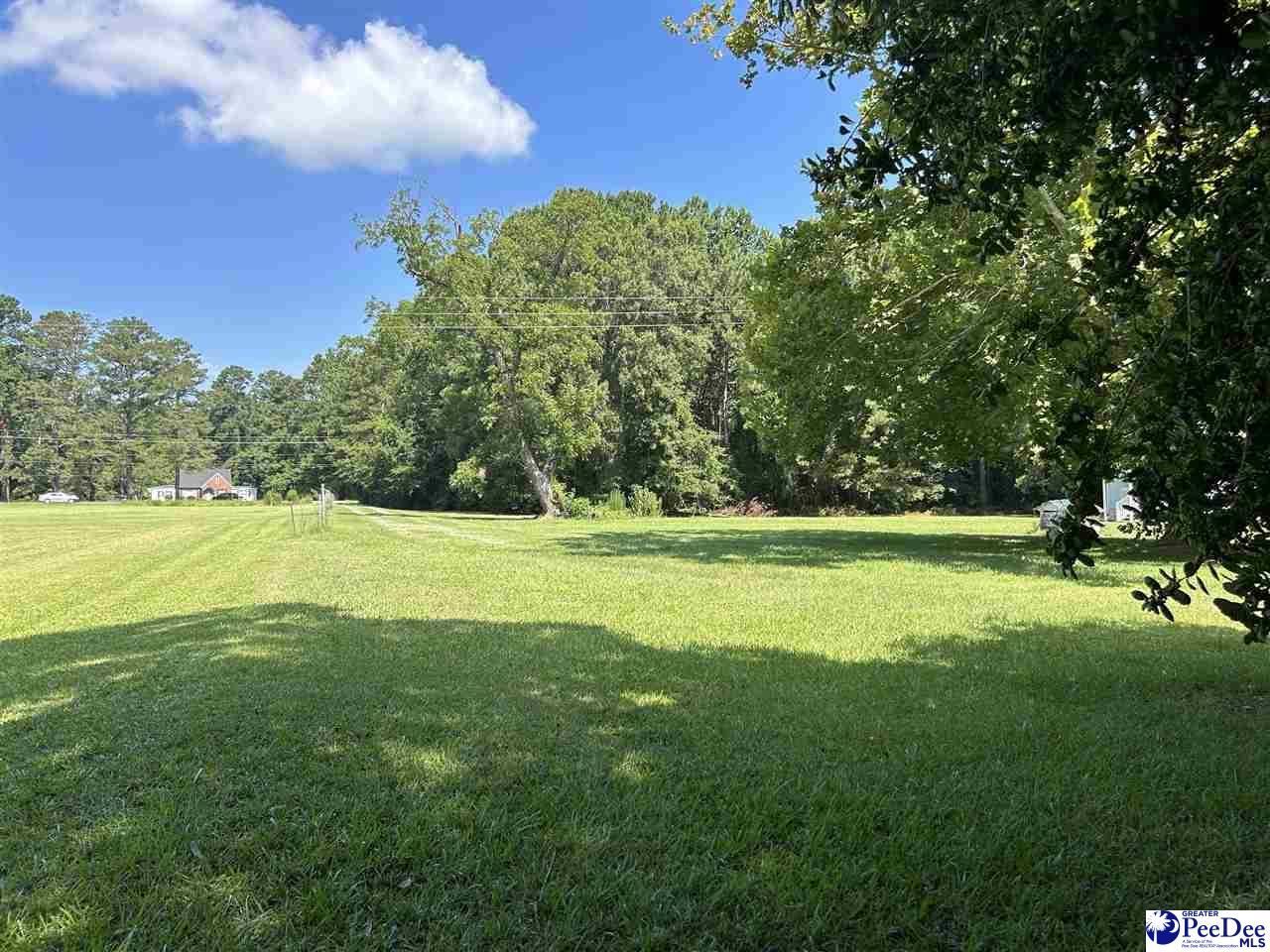2752 N Highway 301 Photo 13