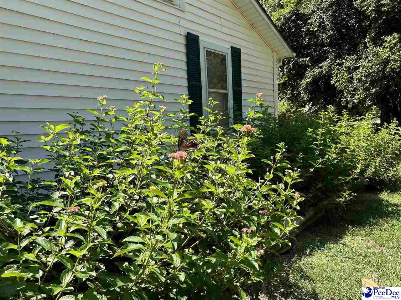 2752 N Highway 301 Photo 9