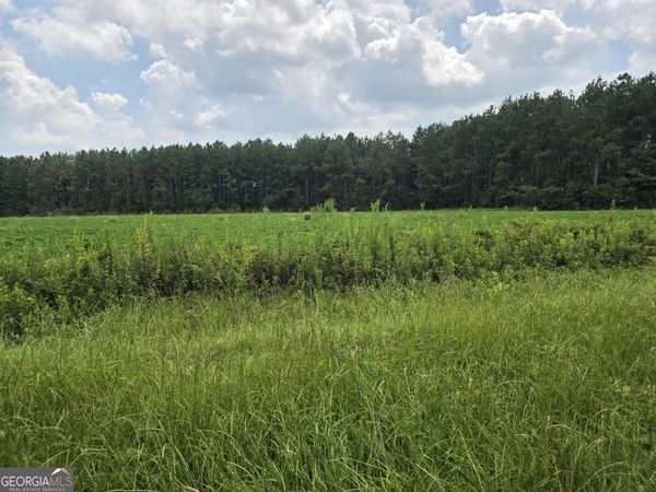 0 Roy And Blanche Hulett Road, Unit 7, Fitzgerald, GA 31750