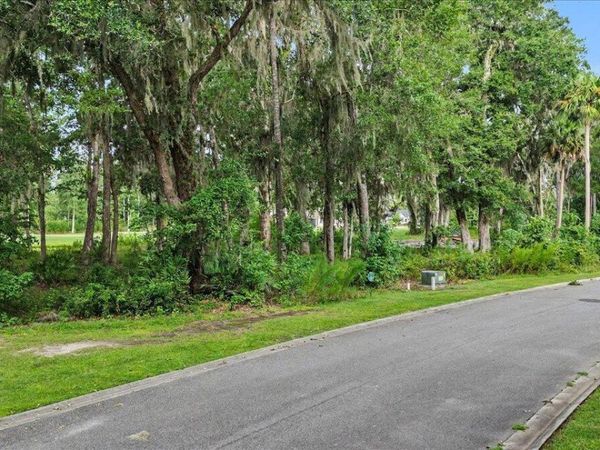 Lot 17 Eagle Crest Drive , Waverly, GA 31565