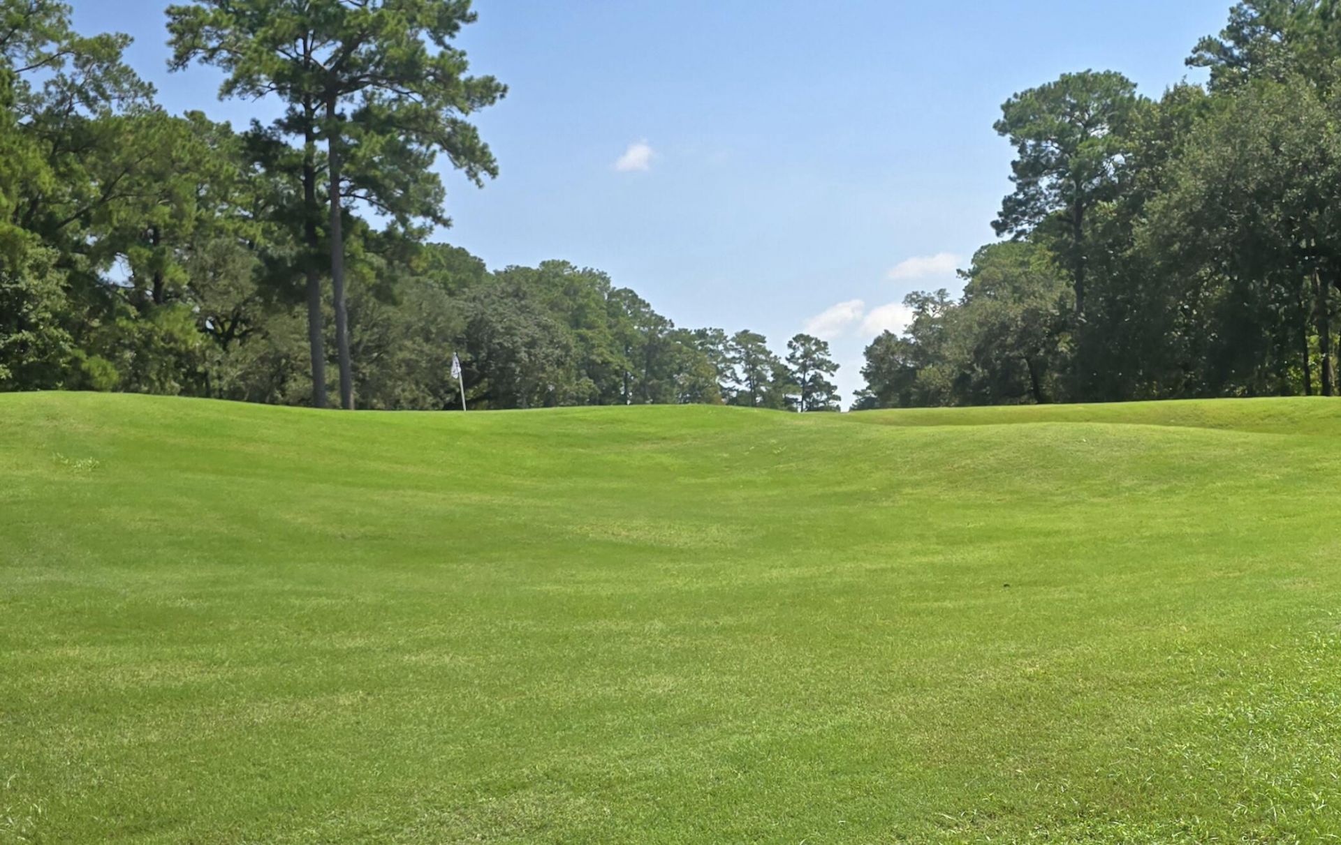 4268 Club Course Drive Photo 5