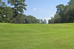 4268 Club Course Drive photo 4
