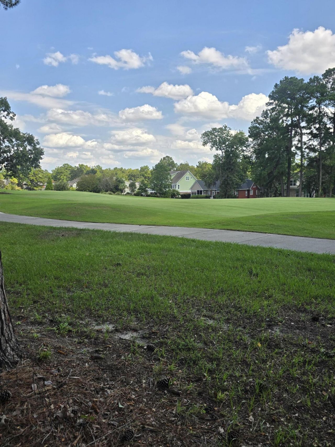 4268 Club Course Drive Photo 55