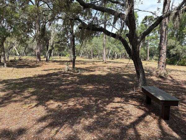 xxxx Rainey Trail Trail , Panacea, FL 32346