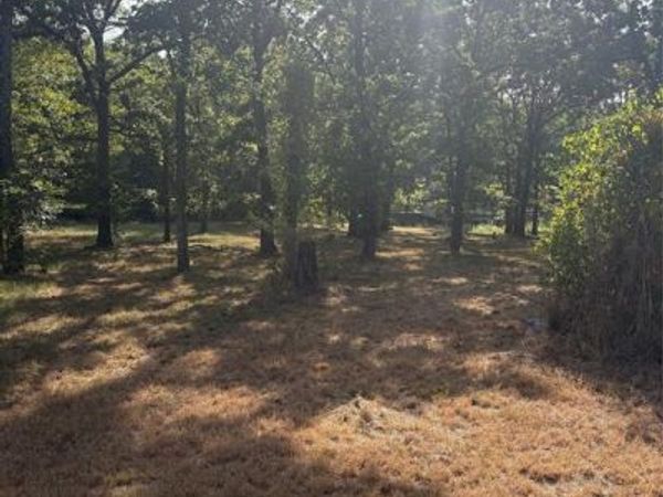360 Buena Vista, Malakoff, TX 75148