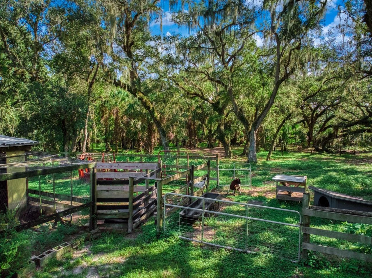 1682 Friendship Lane , Zolfo Springs, FL 33890 Photo