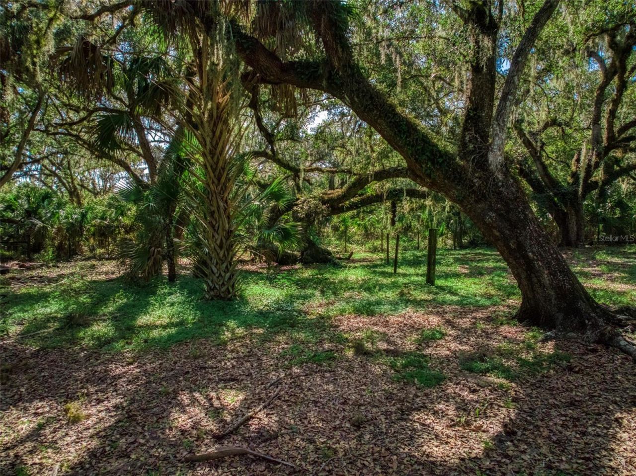 1682 Friendship Lane , Zolfo Springs, FL 33890 Photo