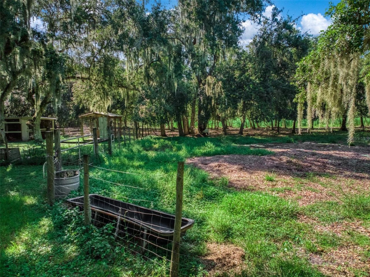 1682 Friendship Lane , Zolfo Springs, FL 33890 Photo