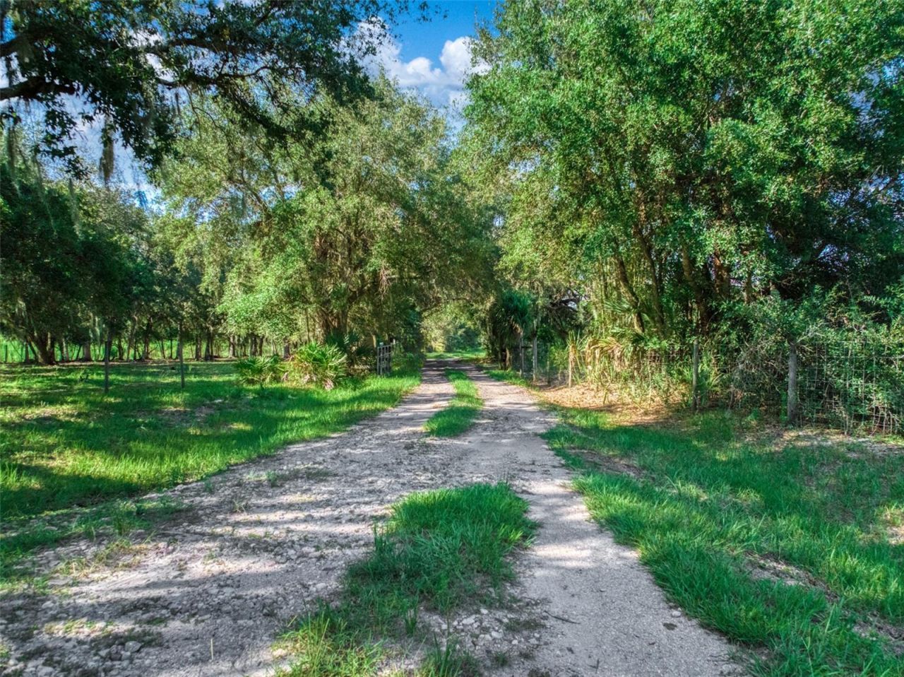 1682 Friendship Lane , Zolfo Springs, FL 33890 Photo