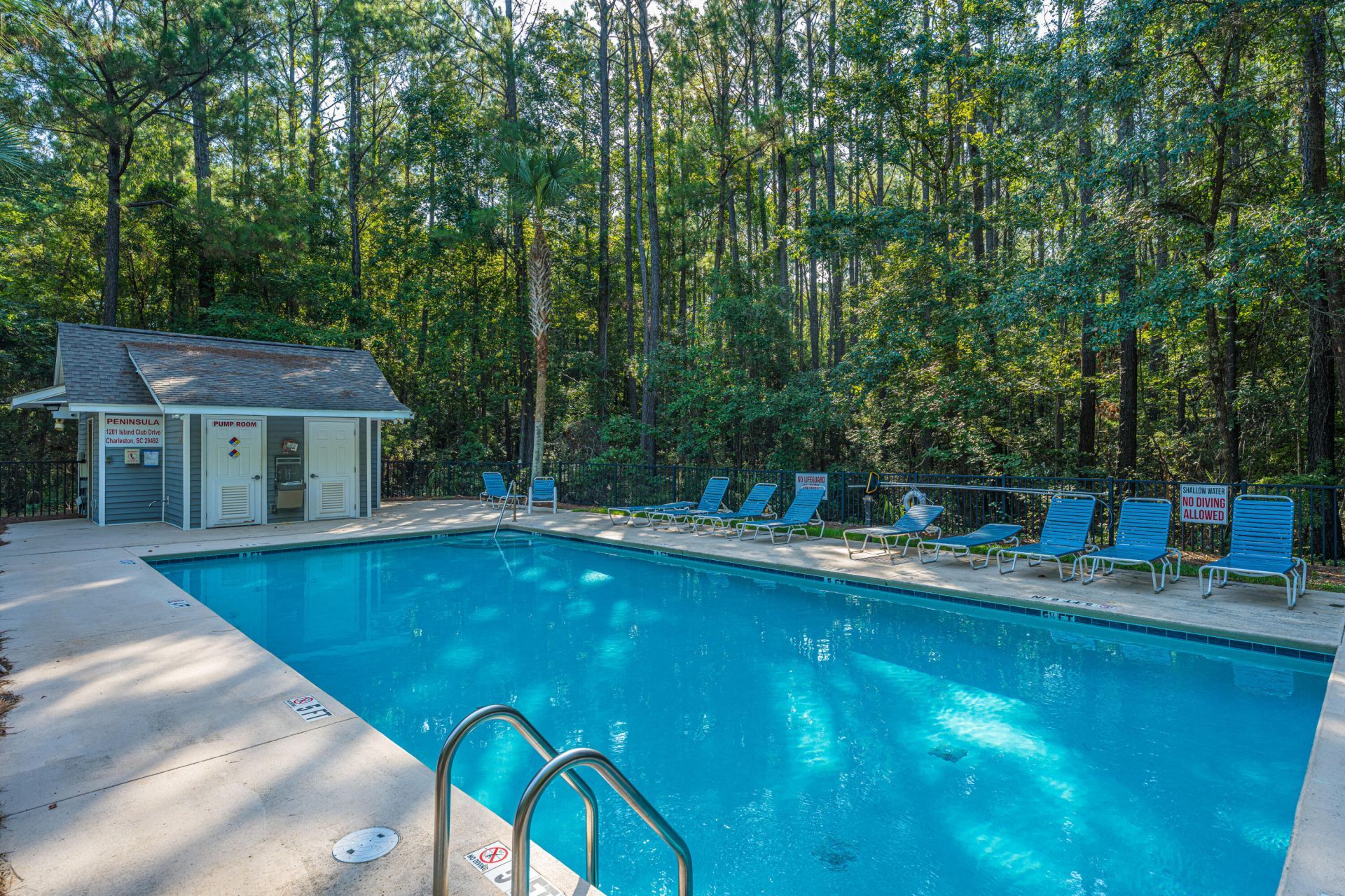 1004 Washitonia Way Photo 39