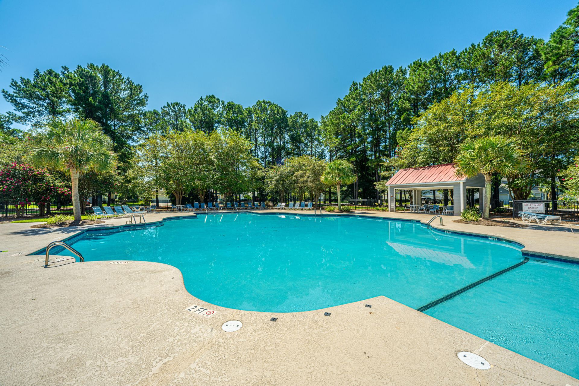 1004 Washitonia Way Photo 43