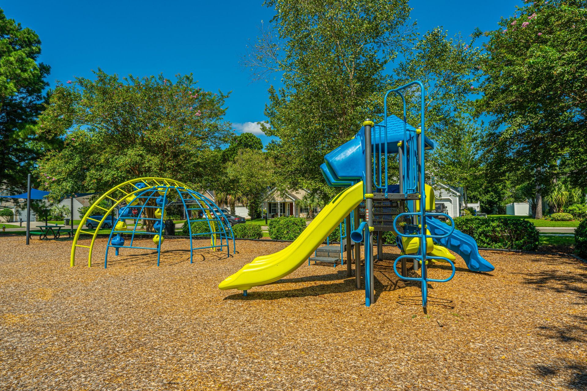1004 Washitonia Way Photo 48