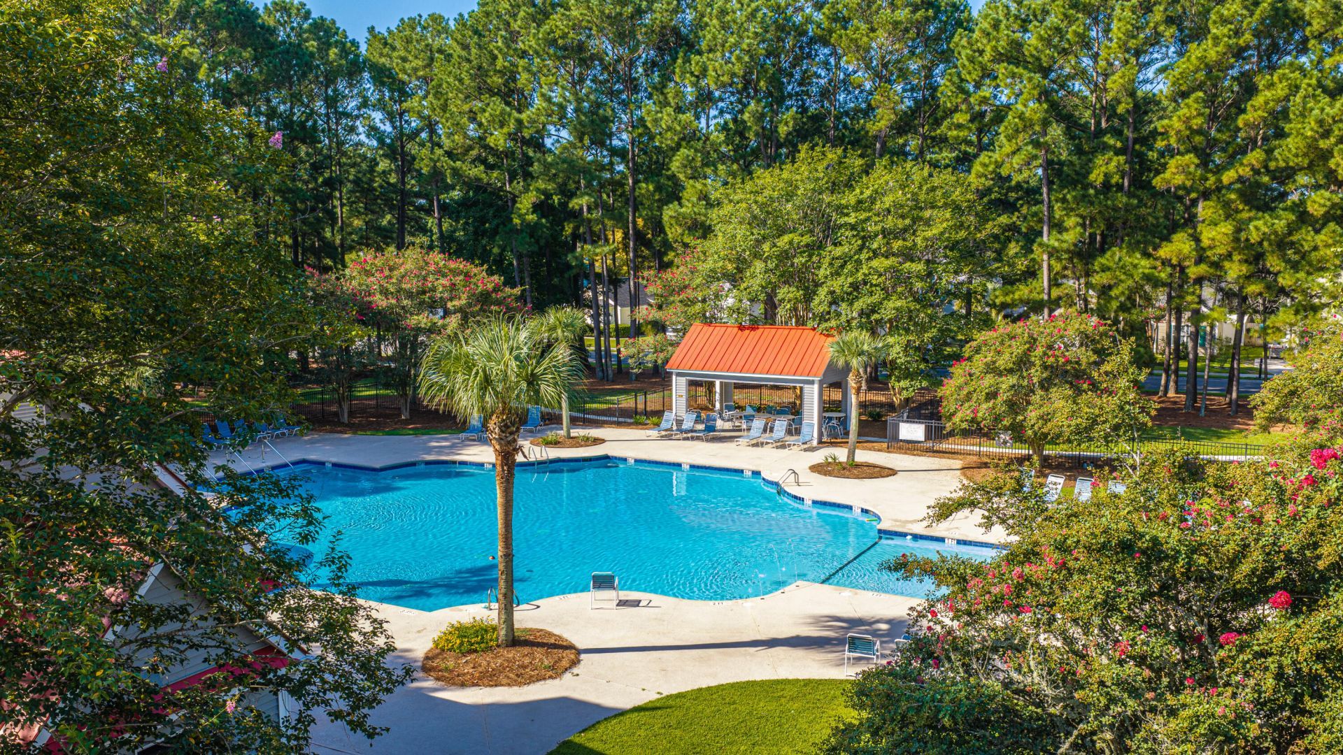 1004 Washitonia Way Photo 52