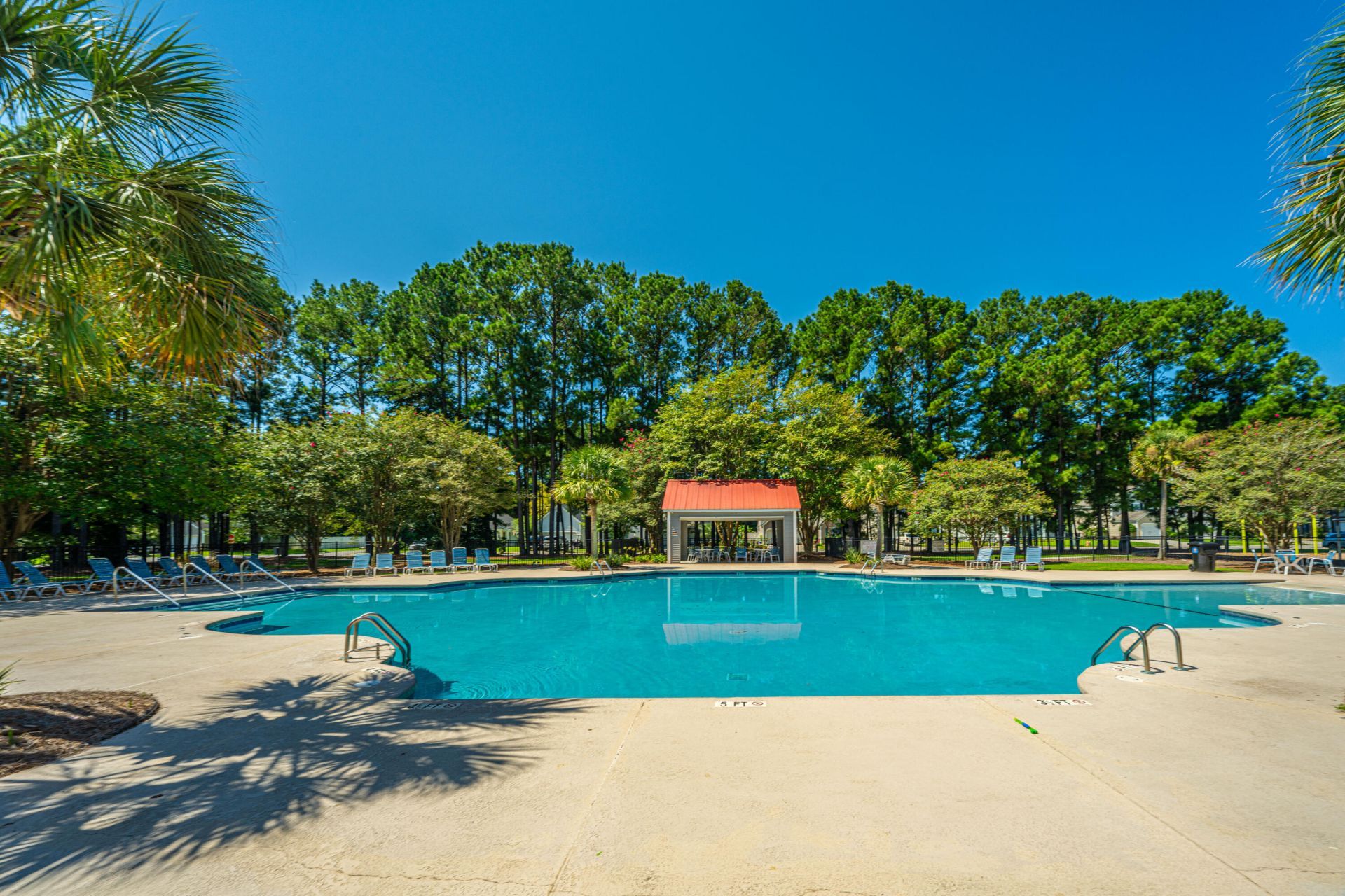 1004 Washitonia Way Photo 54