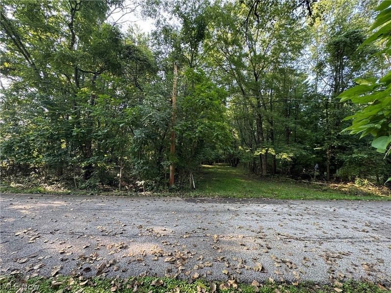 Antone Avenue, Tallmadge, OH 44278 Photo 1