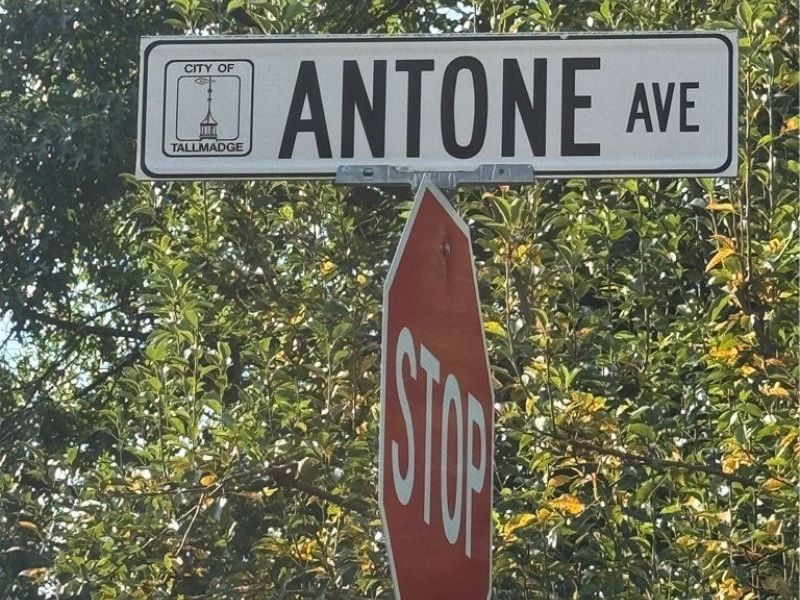 Antone Avenue, Tallmadge, OH 44278 Photo 11