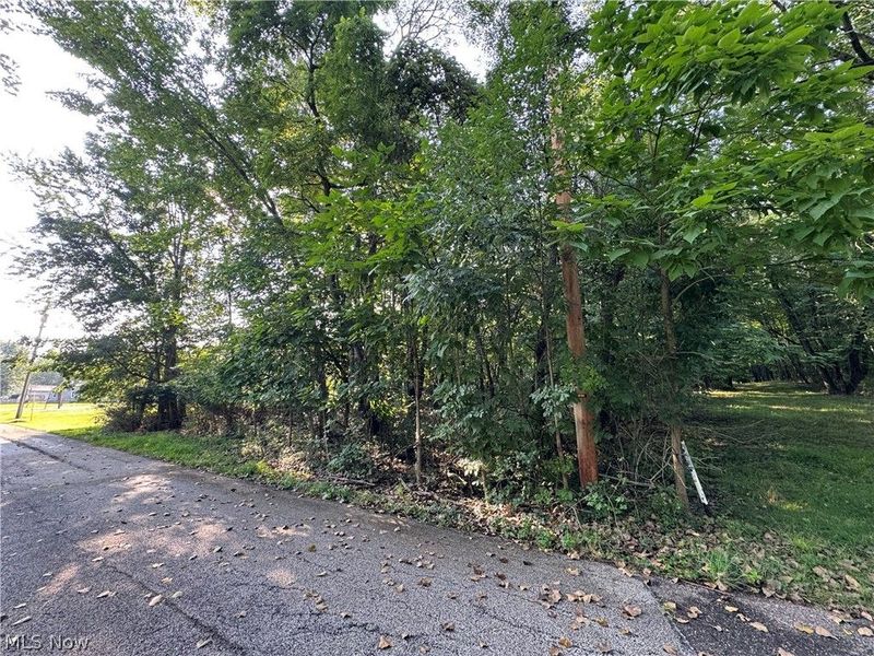 Antone Avenue, Tallmadge, OH 44278 Photo 2