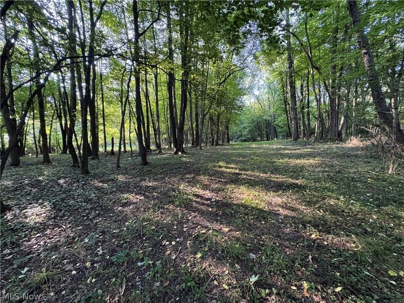 Antone Avenue, Tallmadge, OH 44278 Photo 4