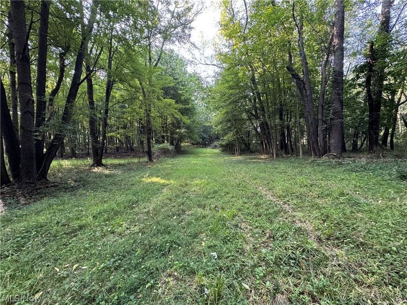 Antone Avenue, Tallmadge, OH 44278 Photo 5