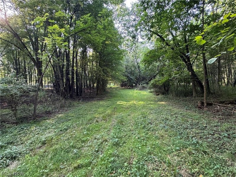 Antone Avenue, Tallmadge, OH 44278 Photo 6
