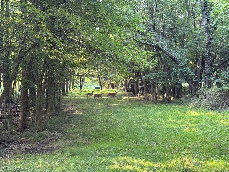 Antone Avenue, Tallmadge, OH 44278 Photo 7