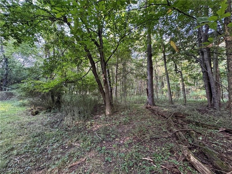 Antone Avenue, Tallmadge, OH 44278 Photo 8