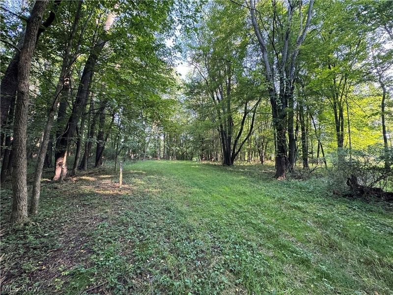 Antone Avenue, Tallmadge, OH 44278 Photo 9