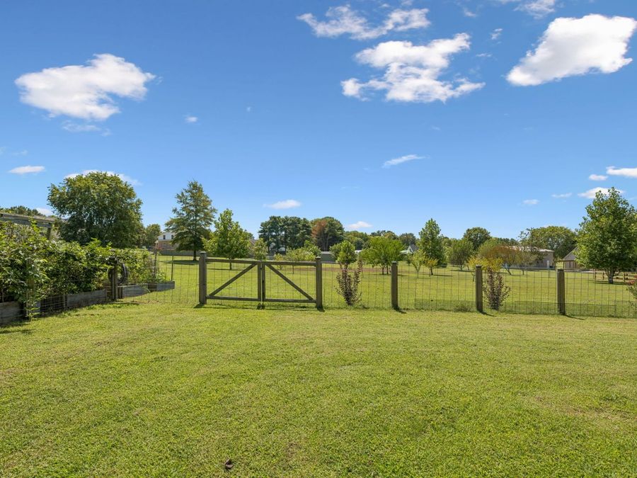 Property Image 81