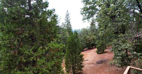 19314 Ponderosa Dr, Pioneer, CA 95666 Photo
