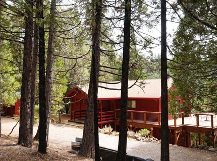 19314 Ponderosa Dr, Pioneer, CA 95666 Photo