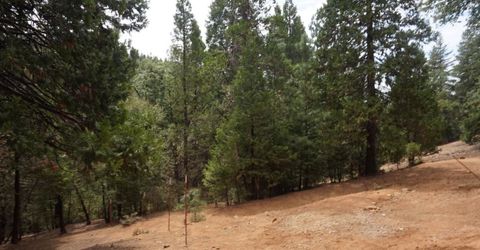 19314 Ponderosa Dr, Pioneer, CA 95666 Photo