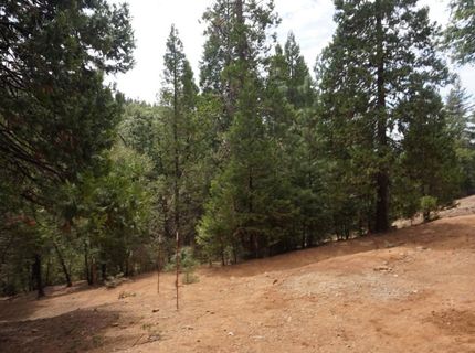 19314 Ponderosa Dr, Pioneer, CA 95666 Photo