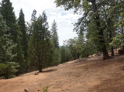 19314 Ponderosa Dr, Pioneer, CA 95666 Photo