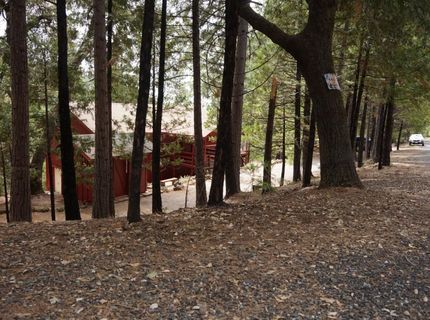 19314 Ponderosa Dr, Pioneer, CA 95666 Photo