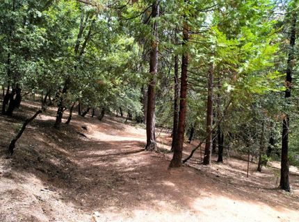 19314 Ponderosa Dr, Pioneer, CA 95666 Photo
