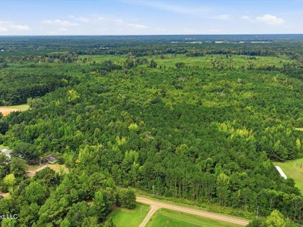 Lot 2 Lottville Road, Canton, MS 39046