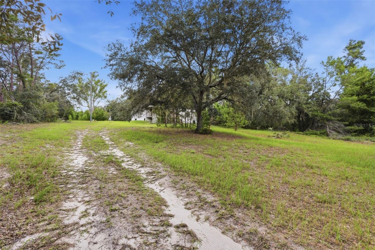 39913 Swift Road, Eustis, FL 32736 Photo