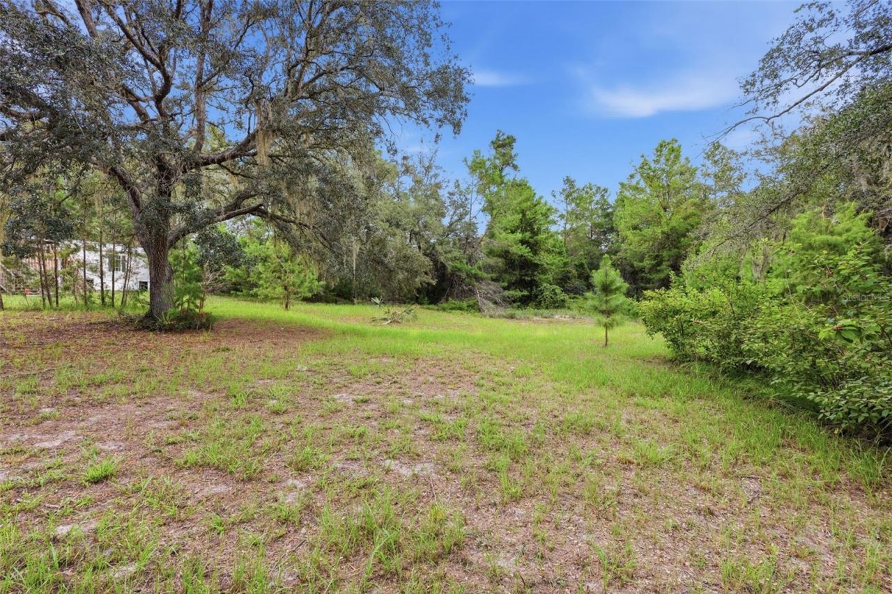39913 Swift Road, Eustis, FL 32736 Photo