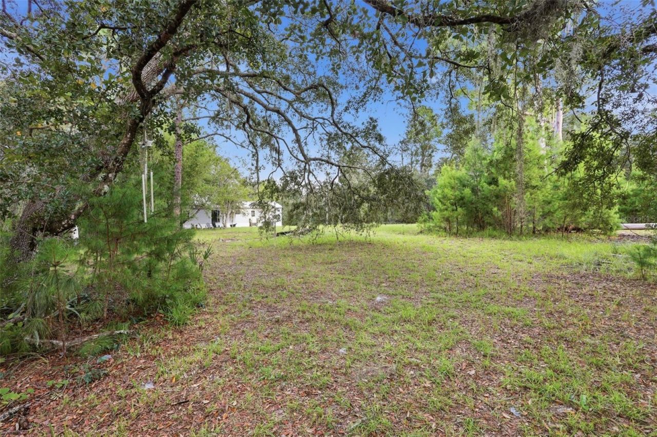 39913 Swift Road, Eustis, FL 32736 Photo