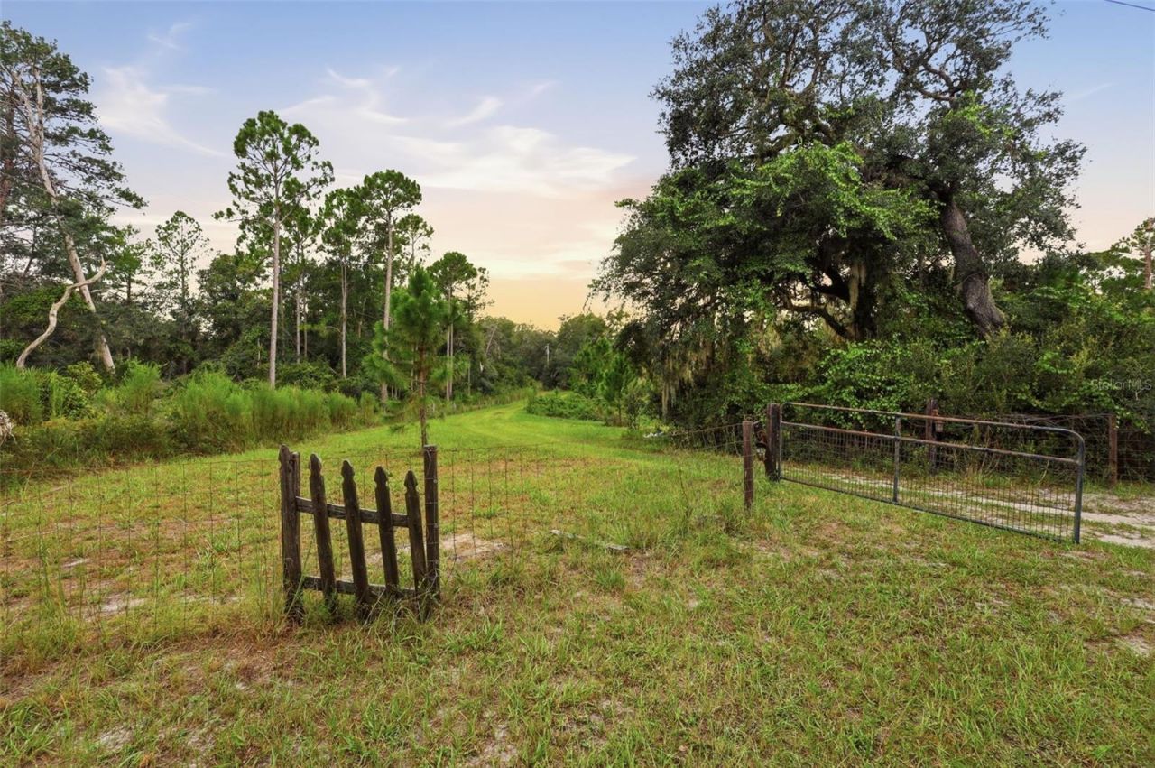 39913 Swift Road, Eustis, FL 32736 Photo