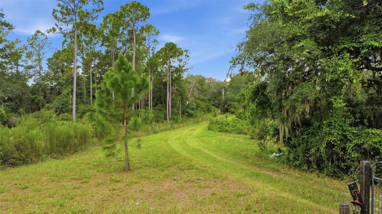 39913 Swift Road, Eustis, FL 32736 Photo