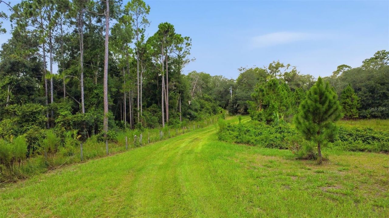 39913 Swift Road, Eustis, FL 32736 Photo