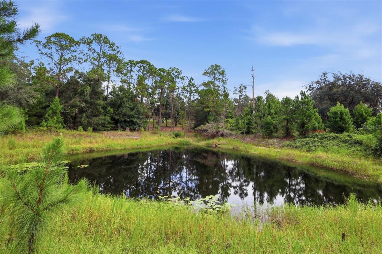 39913 Swift Road, Eustis, FL 32736 Photo