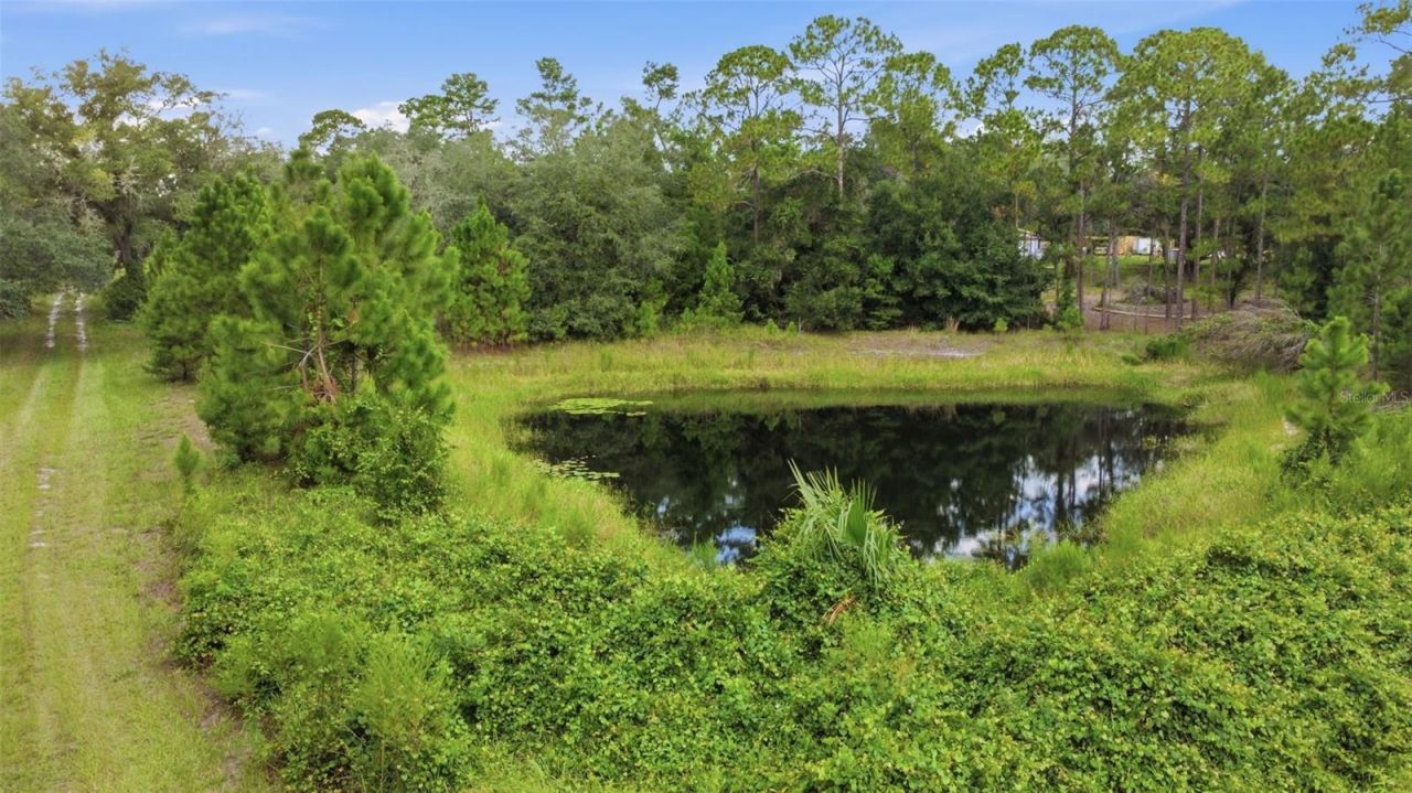 39913 Swift Road, Eustis, FL 32736 Photo