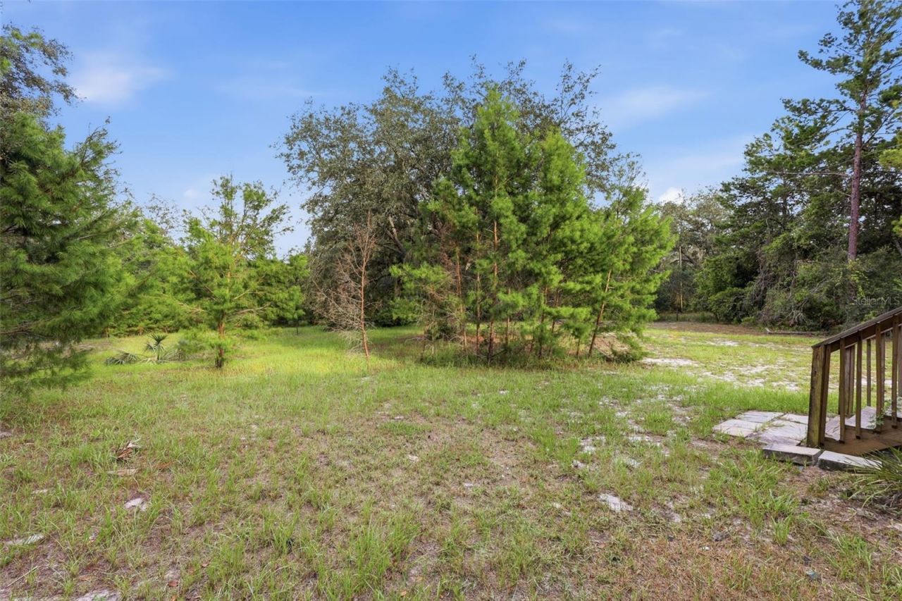 39913 Swift Road, Eustis, FL 32736 Photo