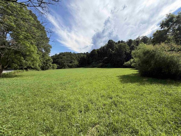 TBD Hog Camp Road, Jane Lew, WV 26378