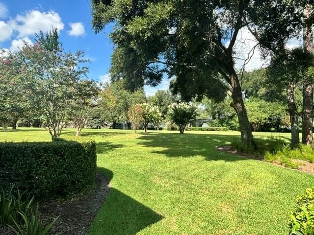 1701 Timber Edge Drive, Deland, FL 32724 Photo