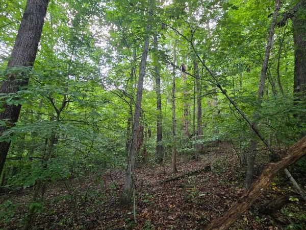 00 RT 3 Rock Creek, ARNETT, WV 25007