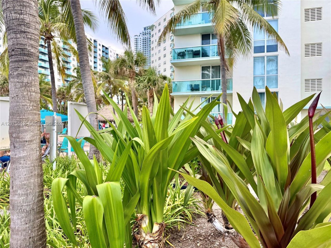 3901 S Ocean Dr , Unit 15O, Hollywood, FL 33019 Photo